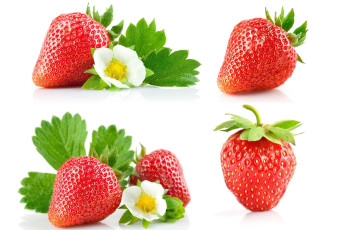 обоя еда, клубника, земляника, коллаж
