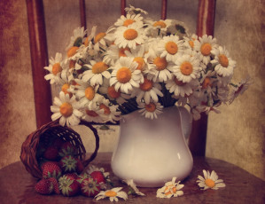 Картинка цветы ромашки букет