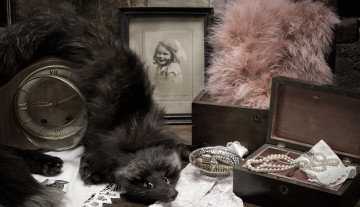 Картинка разное ретро +винтаж ожерелье меха фото