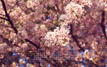 Картинка календари цветы весна