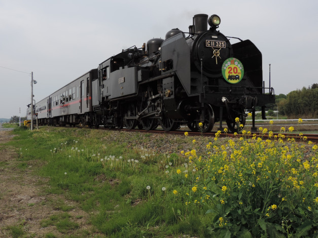 Обои картинки фото техника, паровозы, рельсы, цветы