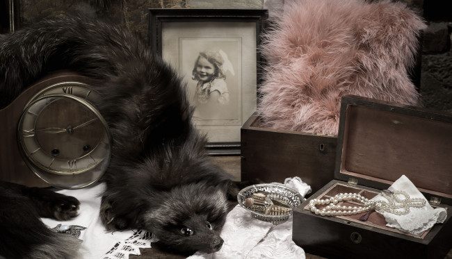 Обои картинки фото разное, ретро,  винтаж, ожерелье, меха, фото