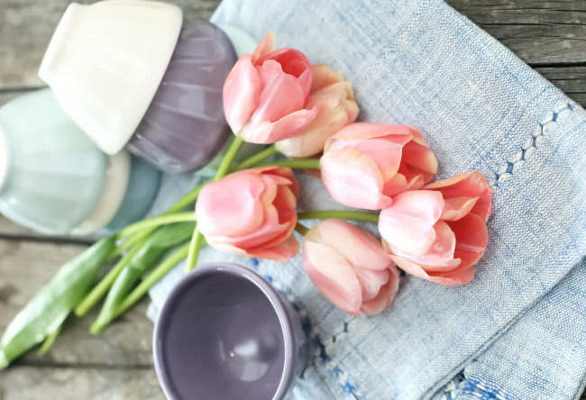 Обои картинки фото цветы, тюльпаны, розовый