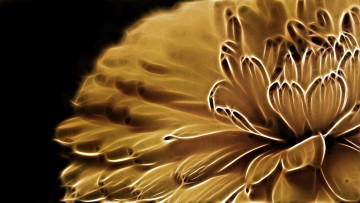 Картинка 3д+графика цветы+ flowers лепестки