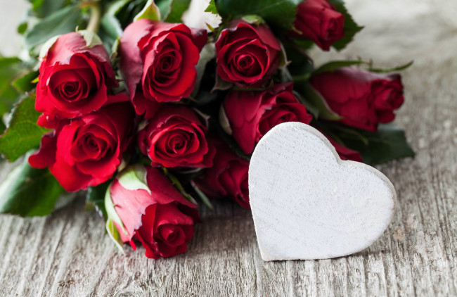 Обои картинки фото цветы, розы, сердце, бутоны