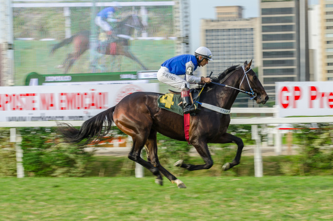 Обои картинки фото jockey club de s&, 227, o paulo, спорт, конный спорт, жокей, лошадь, ипподром, скачки