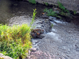 Картинка природа реки озера вода