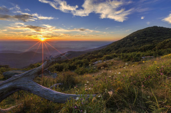 Картинка природа пейзажи простор