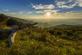 Картинка природа пейзажи простор