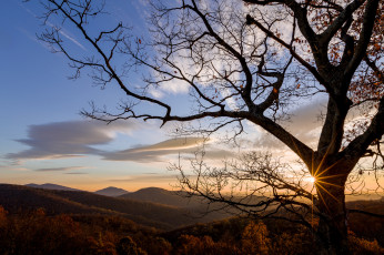 Картинка природа пейзажи простор