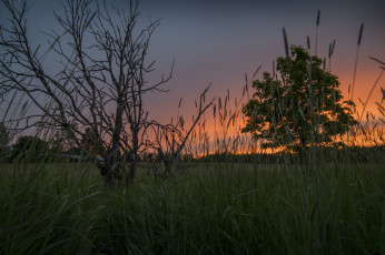 Картинка природа пейзажи рассвет