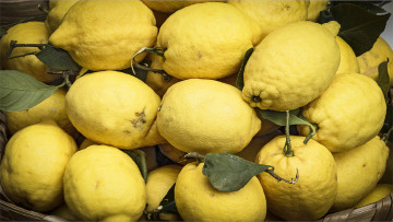 Картинка еда цитрусы лимоны