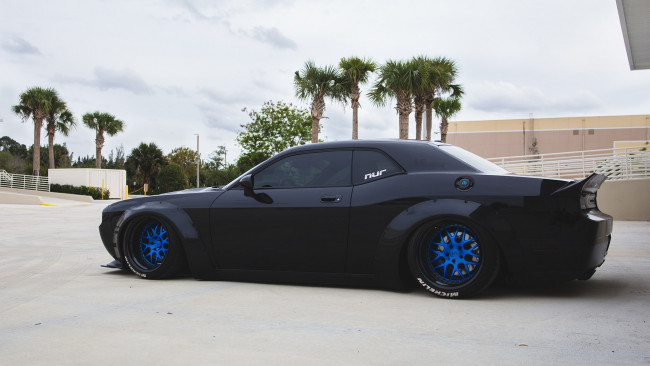 Обои картинки фото автомобили, dodge, challenger