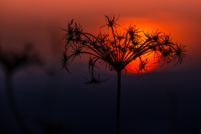 Обои картинки фото природа, восходы, закаты, заря