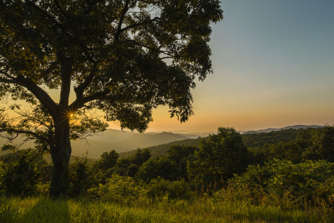 Обои картинки фото природа, пейзажи, простор