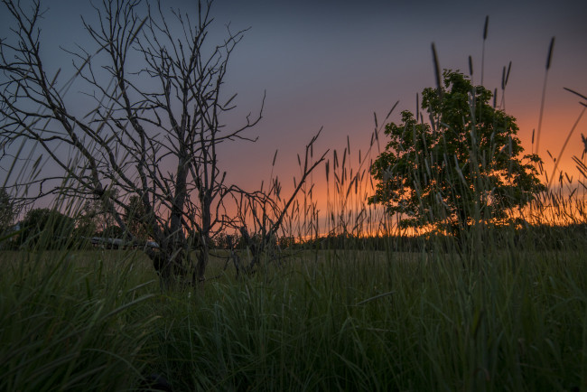 Обои картинки фото природа, пейзажи, рассвет