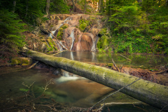 Картинка природа реки озера простор