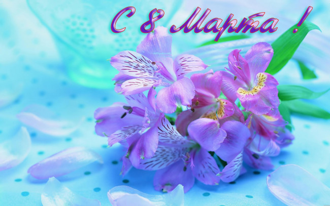 Обои картинки фото праздничные, международный женский день - 8 марта, фон, цветы