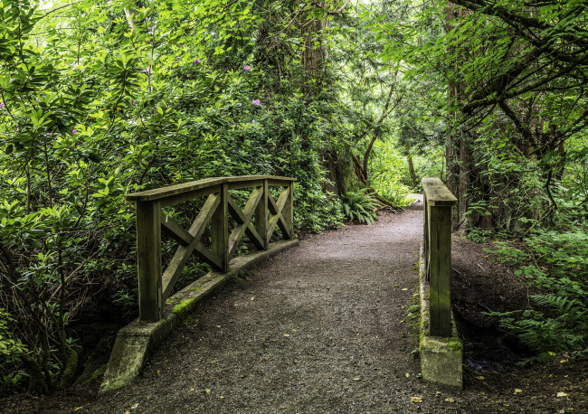 Обои картинки фото природа, дороги, простор