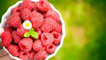 Картинка еда малина миска цветок ягоды