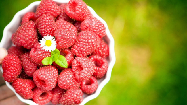 Обои картинки фото еда, малина, миска, цветок, ягоды