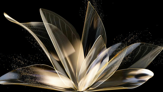 Обои картинки фото 3д графика, цветы , flowers, крылья, пыльца, лепестки