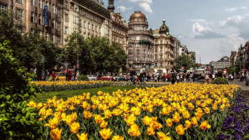 обоя города, прага , чехия, улица, здания, клумба, цветы, туристы