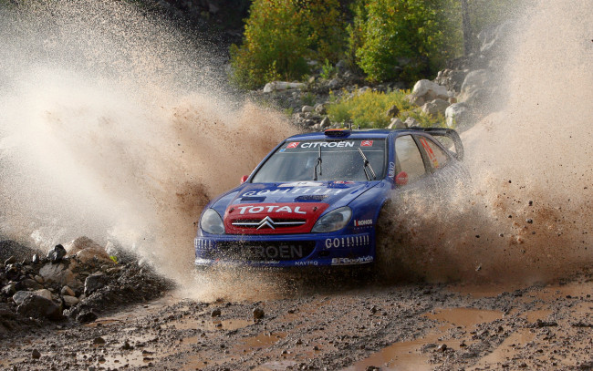 Обои картинки фото спорт, авторалли, citroen