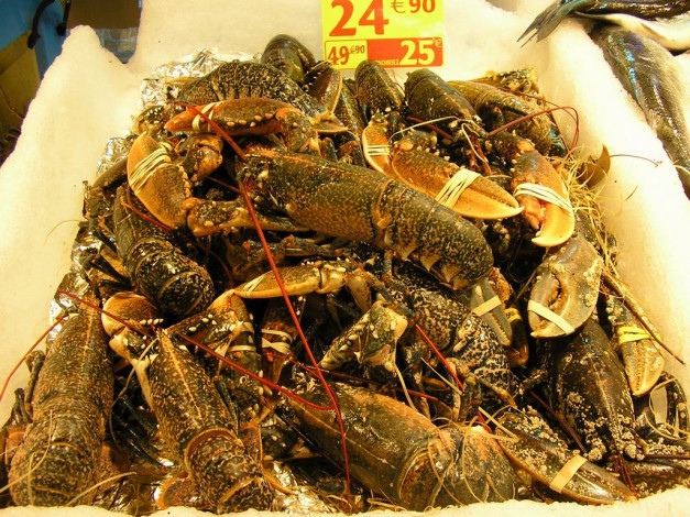 Обои картинки фото морские, деликатесы, еда, рыба, морепродукты, суши, роллы