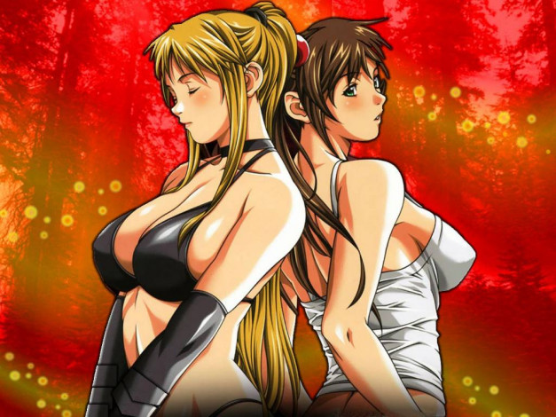 Обои картинки фото mini, tokyo, ecchi, аниме, bible, black