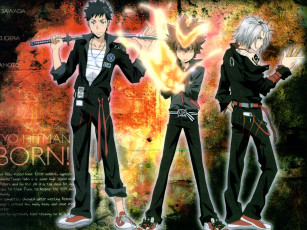 Картинка аниме katekyo hitman reborn