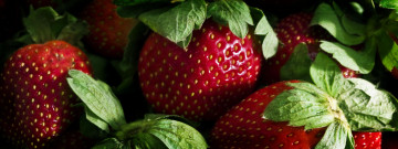Картинка еда клубника земляника