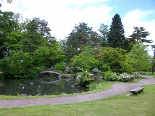 Картинка природа парк