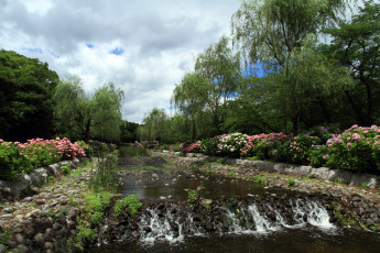 Картинка природа парк