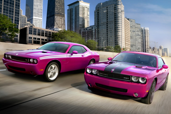 Обои картинки фото автомобили, dodge, challenger