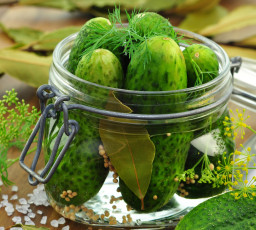 Картинка еда огурцы банка огурчики