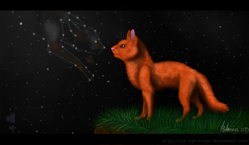 Картинка рисованные животные +коты кот ночь взгляд