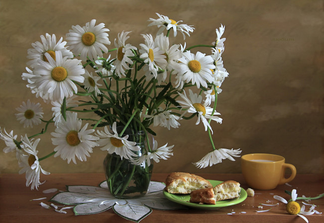 Обои картинки фото цветы, ромашки, букет