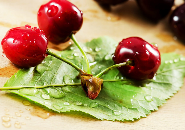 Обои картинки фото еда, вишня,  черешня, листик, три, черешинки, веточка