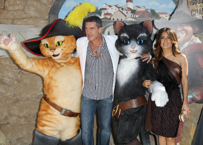 Обои картинки фото разное, знаменитости, сапоги, шляпа, кошка, кот, актер, бандерас, актриса, salma, hayek