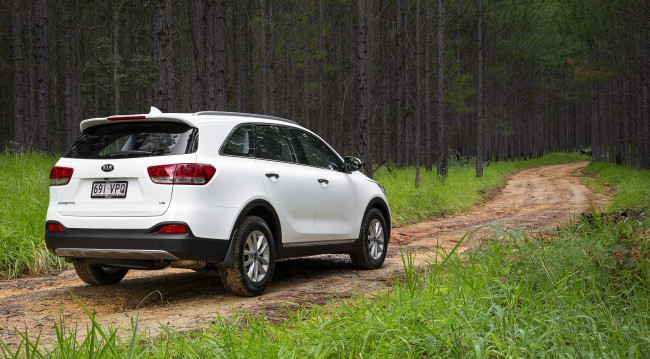 Обои картинки фото автомобили, kia, um, au-spec, sorento, светлый, 2015г