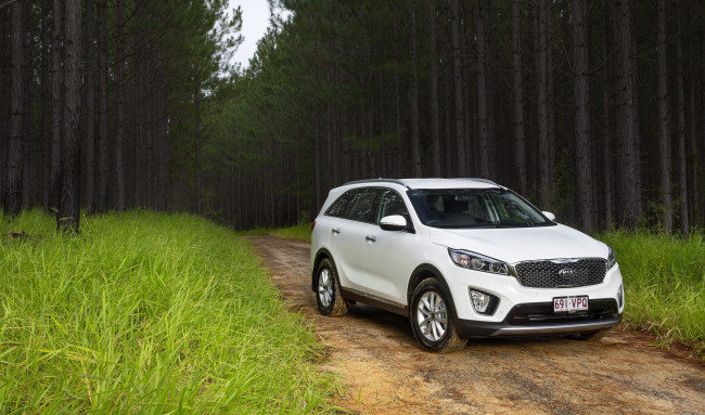 Обои картинки фото автомобили, kia, sorento, 2015г, светлый, um, au-spec