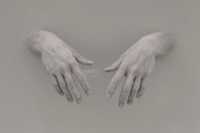 Обои картинки фото разное, руки, паутина, фон