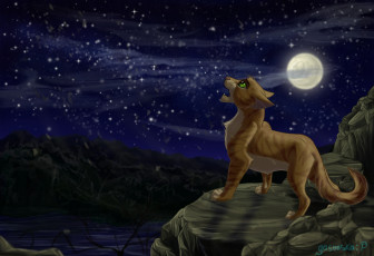 Картинка рисованное животные +коты ночь кот