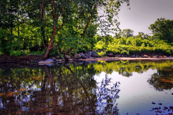 Картинка природа реки озера лес река