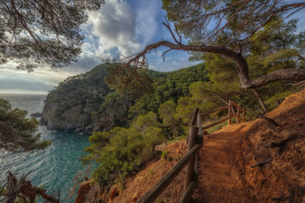 Картинка природа побережье море берег