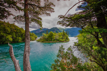 Картинка природа реки озера лес река