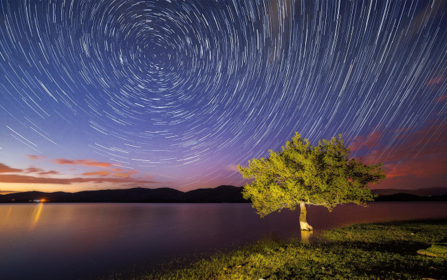 Обои картинки фото природа, реки, озера, звезды, вечер, дерево, озеро, холмы