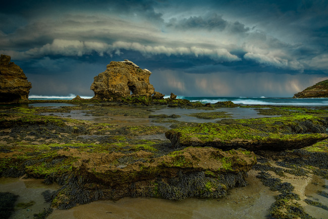 Обои картинки фото природа, побережье, море, берег