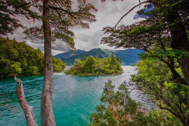 Обои картинки фото природа, реки, озера, лес, река